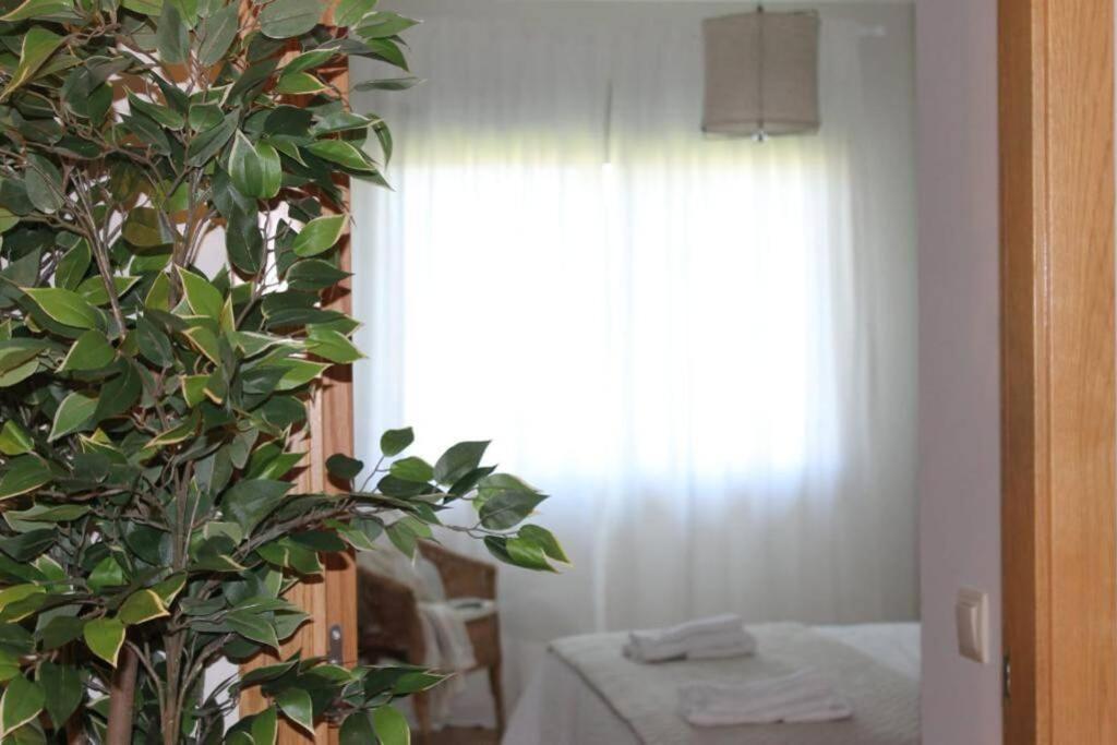 Apartamento Riomar Ribadumia Extérieur photo